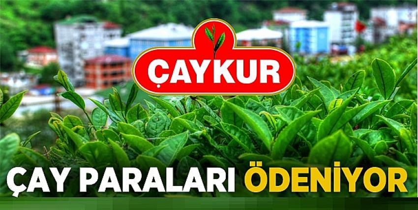 ÇAYKUR Eylül Ayı Yaş Çay Ödemelerini Yapacak